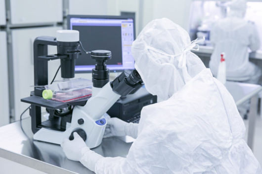 Microscope Observation