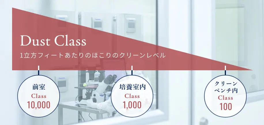 Cleanroom Class Level