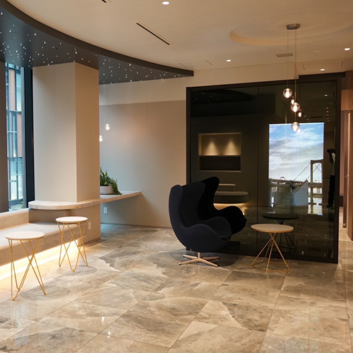 Tokyo Himawari Clinic