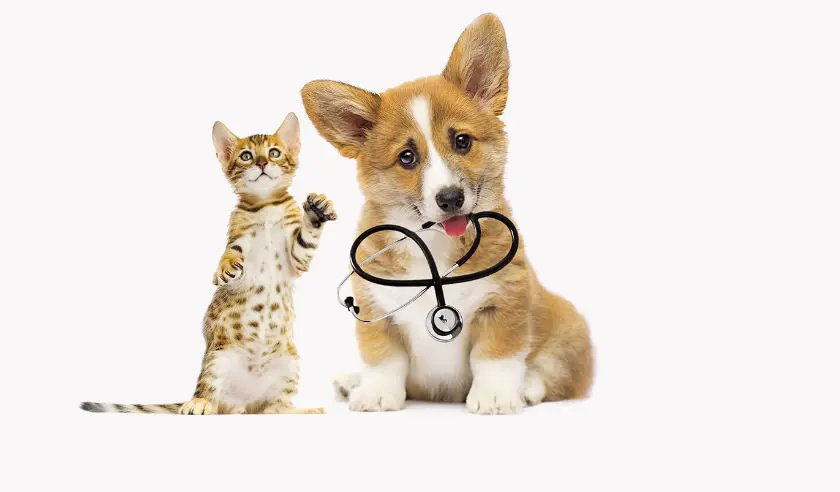 Kyushu Regenerative Medicine Center